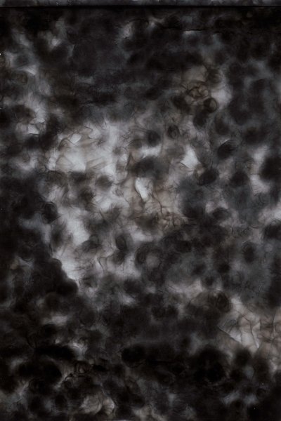 ohne Titel, 1993, Ruß hinter Glas, 105 x 70 cm